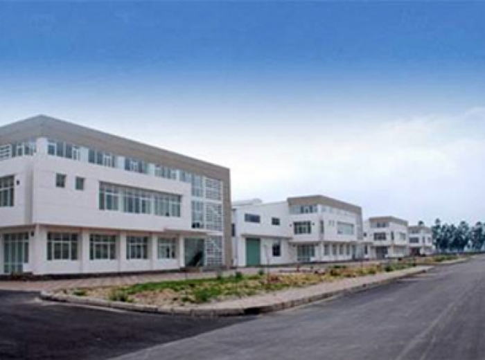 Nhà máy Emerson TDIP